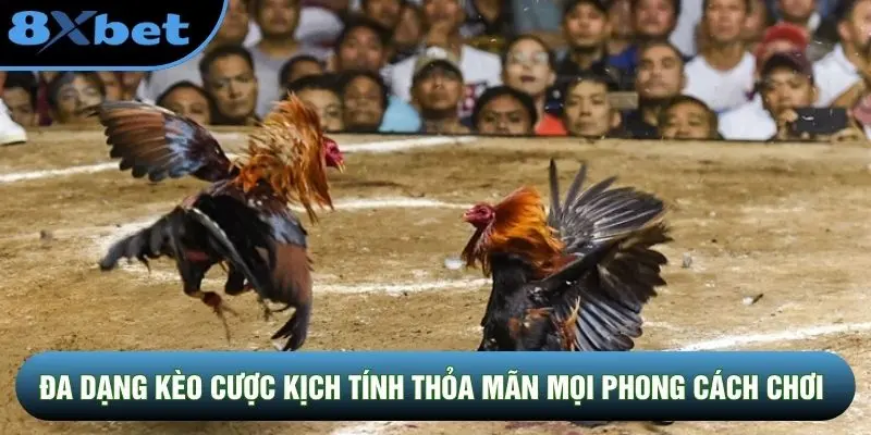 Đa dạng kèo cược kịch tính thỏa mãn mọi phong cách chơi