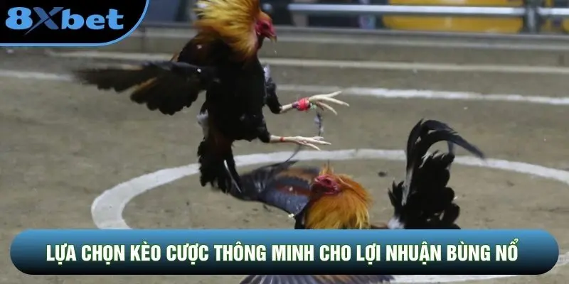 Lựa chọn kèo cược thông minh cho lợi nhuận bùng nổ