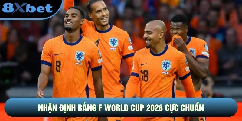 Nhận định bảng F World Cup 2026 cực chuẩn