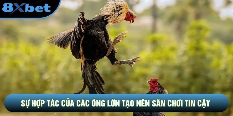 Sự hợp tác của các ông lớn tạo nên sân chơi tin cậy